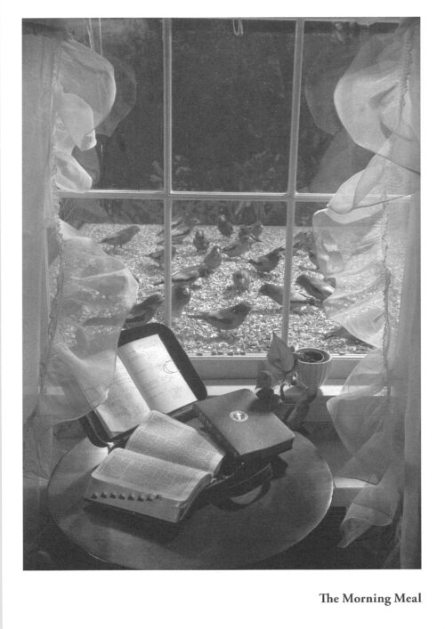 NEW: <i>The Morning Meal</i>